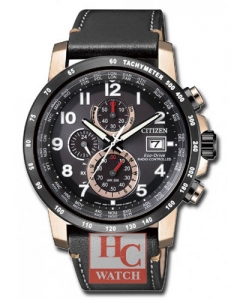 RADIO CONTROLLED  AT8126-02E