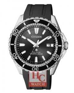 PROMASTER DIVER'S BN0190-15E