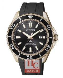 PROMASTER DIVER'S BN0193-17E