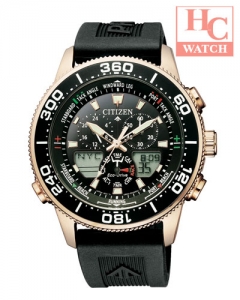 Countdown Timer, World Time, Alarm