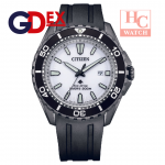 Citizen BN0197-08A Promaster  Eco-Drive 200m Diver's watch